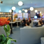 IMG_8387 IMG_8387