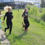 IMG_9517 IMG_9517