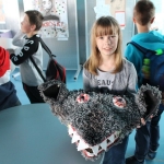 IMG_1994 IMG_1994